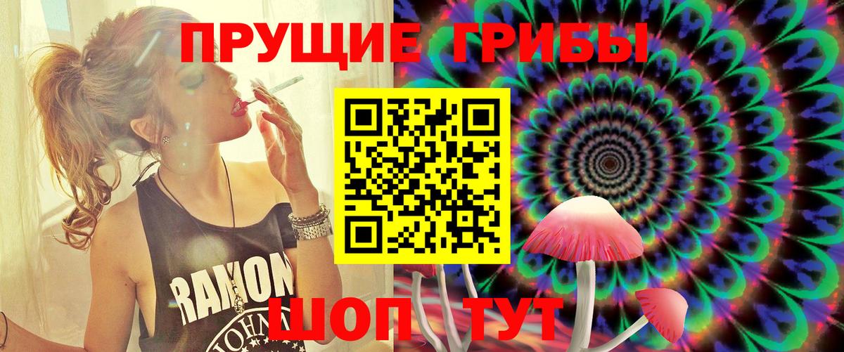 Галлюциногенные грибы прущие грибы  наркотики  Ливны  Псилоцибиновые грибы Psilocybine cubensis  Вход с VPN 